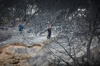 Dichiarazione sugli incendi distruttivi