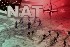 ABD-NATO-AB’nin tehlikeli planlarına ve Yunanistan’ın bunlara dahil olmasına ilişkin KKE’nin pozisyonu hakkında